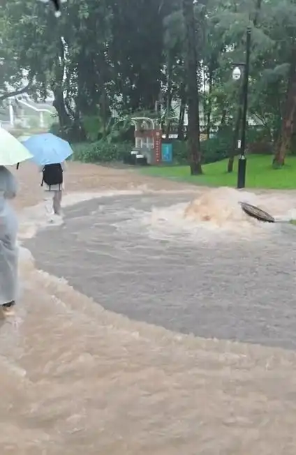 暴雨突袭深圳千余公园关闭，体育赛事与户外运动如何应对极端天气考验？
